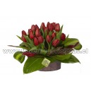 Belleza de tulipanes